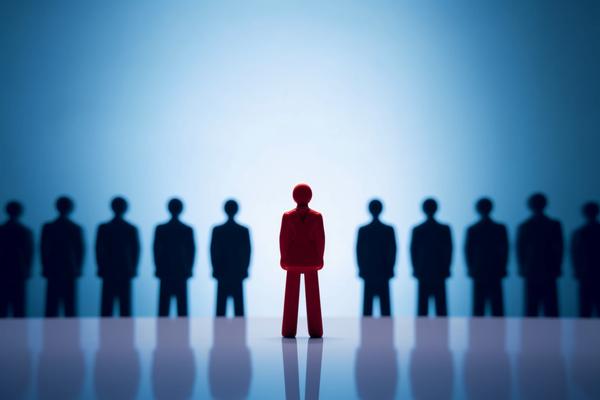 社会统一信用代码的作用及其查询方法 图2