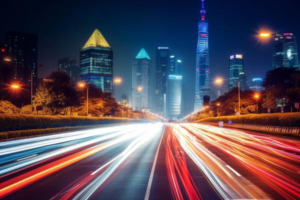 贷款买车|首付前验车流程与注意事项-全面解析 图1