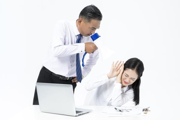 编写项目风险调整收益系数策略及经济指标规划方案 图2