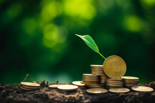 融资中介代理服务合同范本：金融居间的专业规范与实践 图2