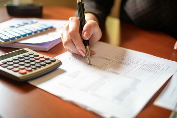 《寻找社会调查项目报告:实用的在线资源指南》 图2
