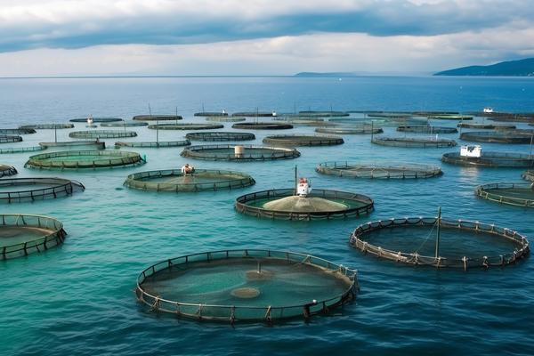 农业银行申请房贷利率下调：流程解析与政策解读 图1