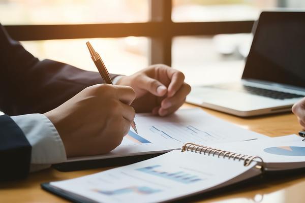 银行贷款专项审计报告：揭示金融风险与提升审计质量 图1