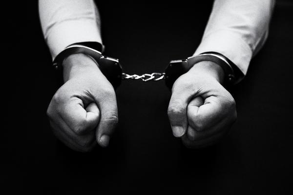 谷歌的合作商：全球创新生态的重要推动者 图1
