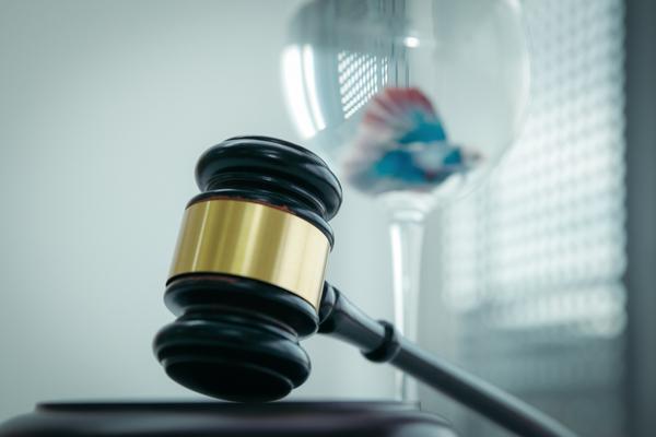 融资顾问协议的关键要素与实务操作指南 图2