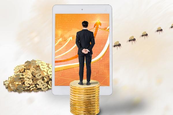 深圳智廉项目咨询有限公司|金融居间服务解决方案提供商 图1