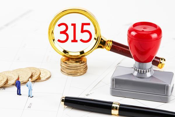 北京担保公司贷款业务|项目融资中企业融资支持的关键角色 图2