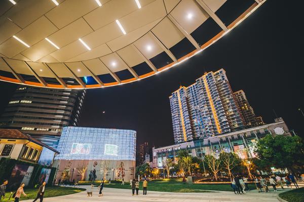 项目融资中的私募基金股东结构解析与风险管理 图2