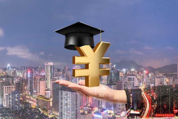 安徽鼎盛金融信息咨询|贷款经纪商的专业服务与行业趋势 图2