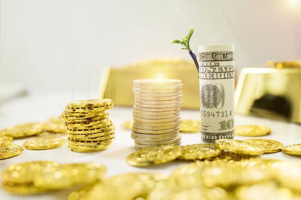 福利基金会运营模式解析与行业趋势分析 图2