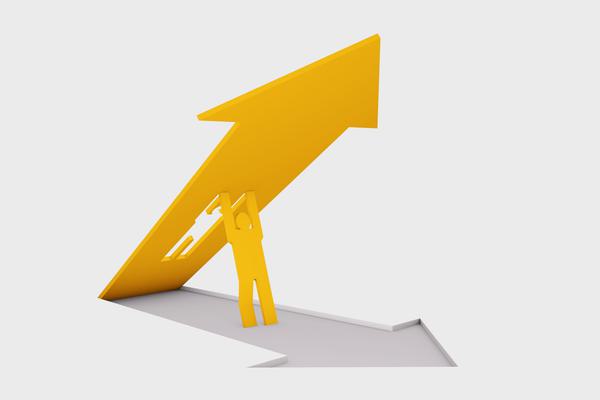 生态保护与修护：推动可持续发展新动力 图1